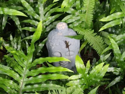 Relaxation Meditation with Sound Bath