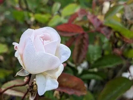 Relaxation | Mindful Motivation