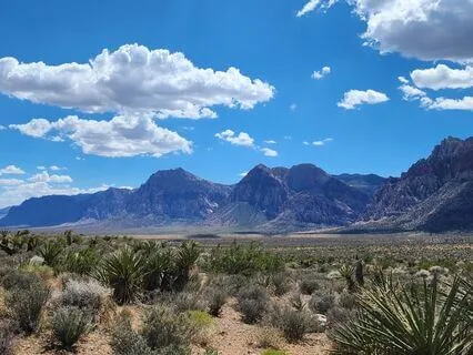 Relaxation Music For Meditation, Focus, And Concentration