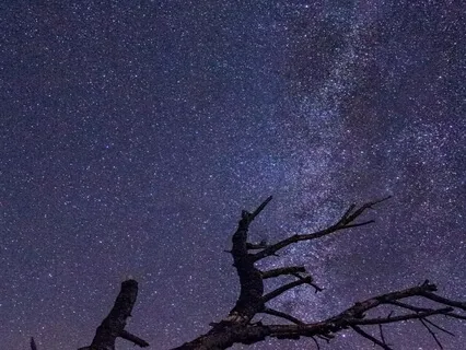 Relaxation Music For Stress Relief