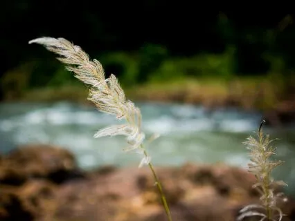 Relaxation Music - Gentle Breeze - Wind Chimes