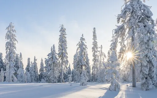 Relaxation Music - Peaceful Skies