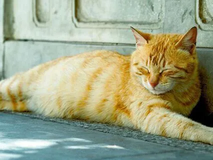 Relaxation Of The Sun And Water