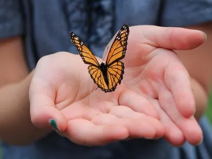 Relaxation - Off Season Pentatonic Vibes