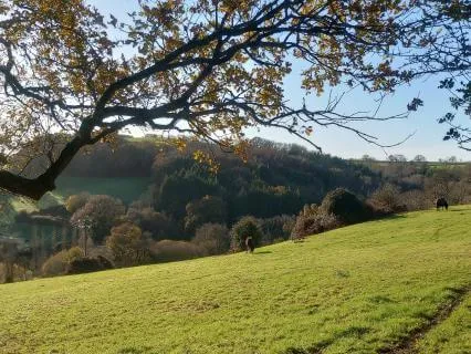 Relaxation Practice For Grounded New Beginnings, A New Year