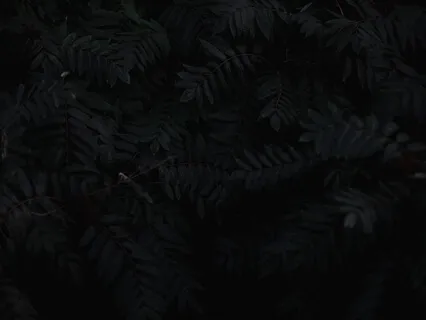 Relaxation Practice For Restful Sleep