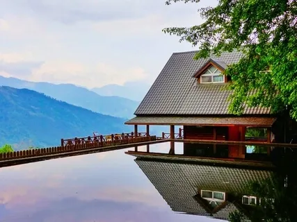 Relaxation Shorts (Number 1)