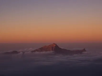 Relaxation Shorts (Number 10)