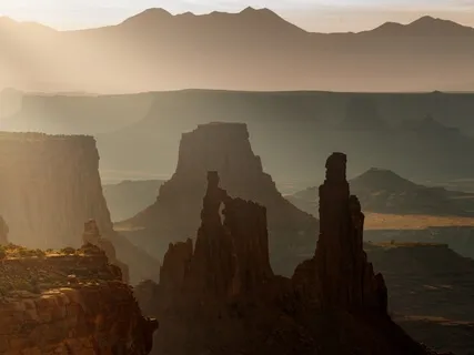 Relaxation Shorts (Number 14)