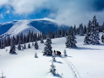 Relaxation Shorts (Number 5)