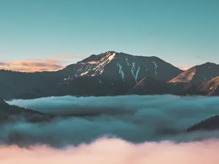 Relaxation Shorts (Number 8)