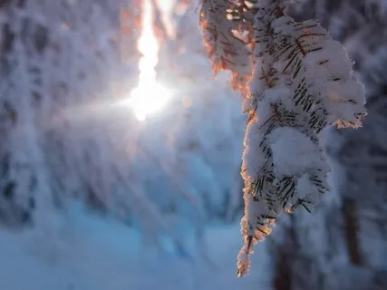 Relaxation Shorts (Number 9)