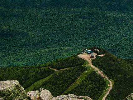 Relaxation Shorts (Number12)