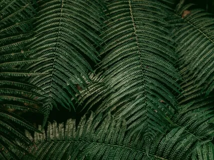 Meditative Introduction To The Kabbalistic Tree of Life