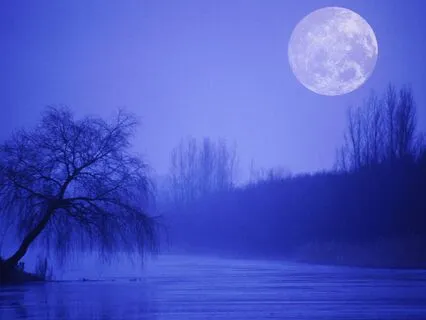 Relaxation & Sleep With 432 Hz + 528 Hz Tuning Forks + Delta