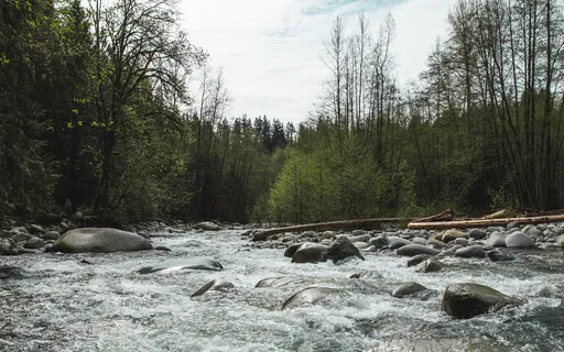 Relaxation Techniques & Flowing To Sleep