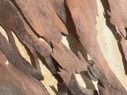 Relaxation Therapy With Tibetan Singing Bowls