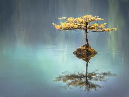 Relaxation Through The Inner Landscape