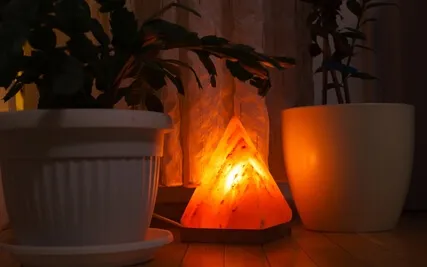 Guided Relaxation. Soften. Surrender