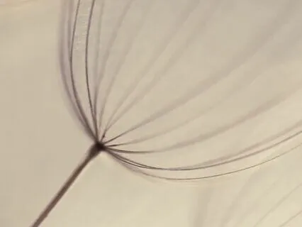 Relaxation To Know It's Okay To Let Go