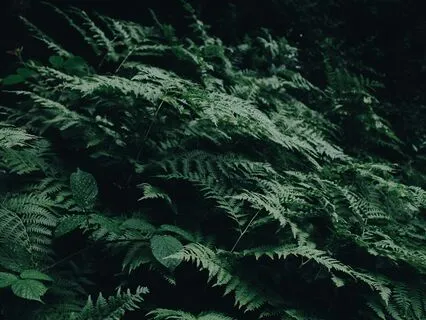 Relaxed Focus Alpha Binaural Beats - 12 Hz