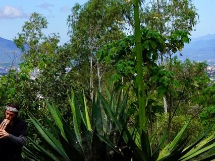 Relaxed Guided Breathing : Live Handpan & Drone Flute