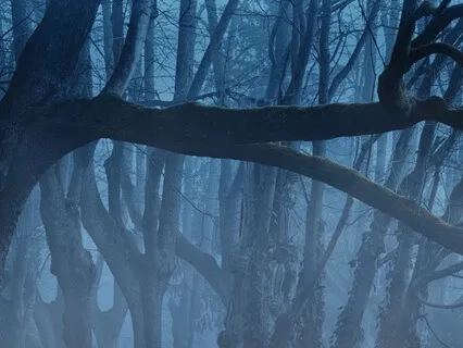 Relaxed Laughter Music For Relief