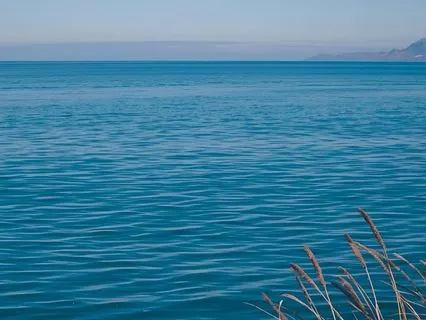 Relaxing 10-Minute Yoga Nidra For Stress Relief