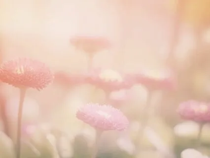 Relaxing 432 Hz Piano: Whispers Of The Heart