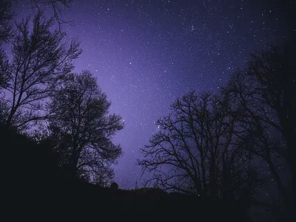 Relaxing Ambience & Harp with Raindrops For Sleeping