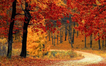 Relaxing Ambient Music @432Hz