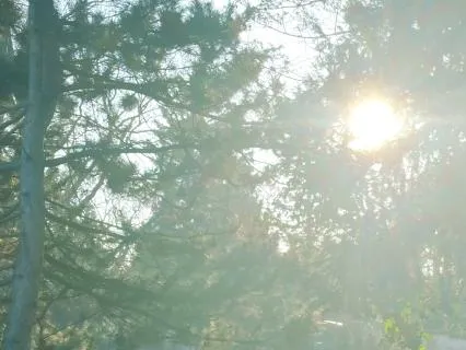 Relaxing Ambient Music for Meditation and Daydreaming