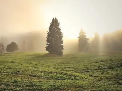 Relaxing Ambient Music For Meditation & Relaxation – Let The Divine Light Shine Through