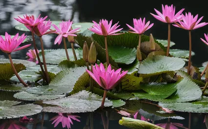 Relaxing Ambient Music With Water Sounds