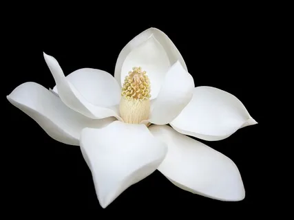 Relaxing Ambient Piano For Meditation And Reflection