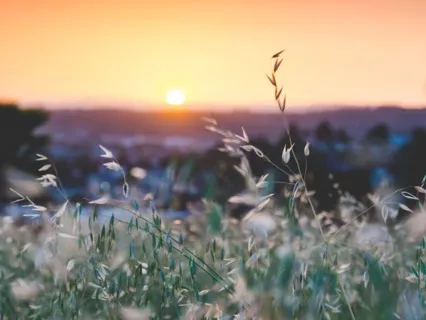 Relaxing Ambient Piano Music