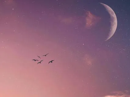 Relaxing Ambient Wonder