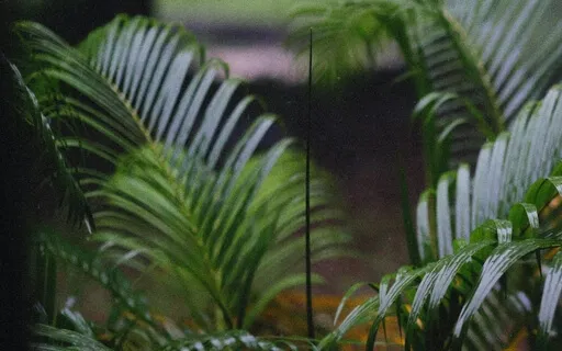 Relaxing And Grounding Rain And Drum Sounds