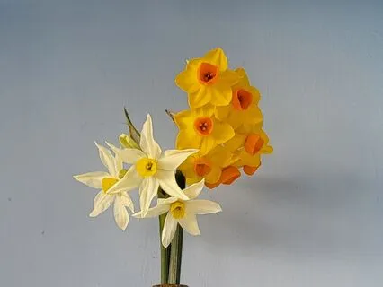 Relaxing And Sensing To Discover Your True Self