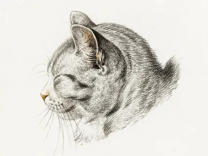 Relaxing ASMR Meditation - World of Cats