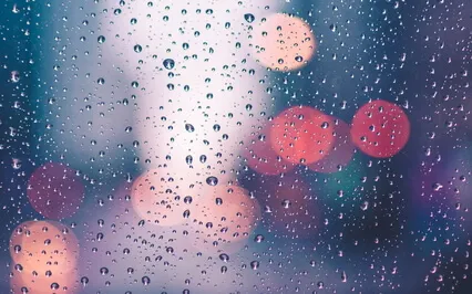 Relaxing Autumn Rain Water Hitting Roof