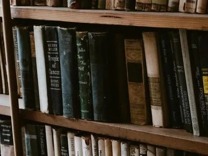 Relaxing Background Noise | Library Ambience & Brown Noise