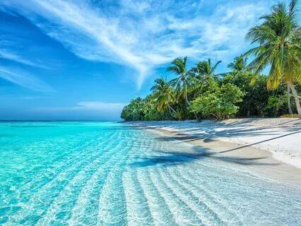 Relaxing Beach Slumber