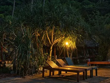 Jamaica Cove Binaural Waves For Relaxation