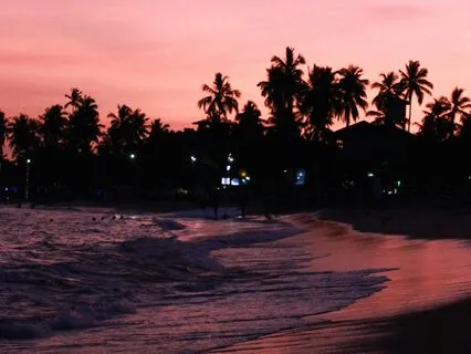 Relaxing Binaural Wave Lap in a Tropical Cove at Night