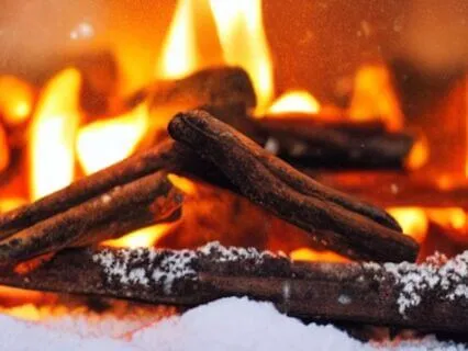 Relaxing Blizzard Ambience: Cozy Crackling Fireplace