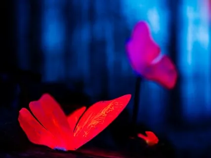 Relaxing Body Scan For Deep Sleep