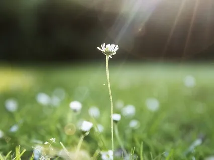 Relaxing Body Scan With Lily Silverton