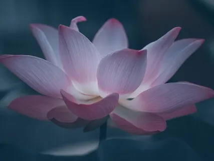 Relaxing Body Scan With Reiki Healing