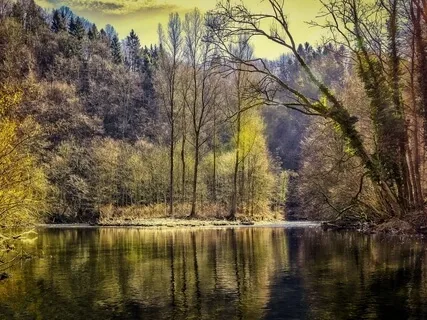 Relaxing Brain Massage Piano Music